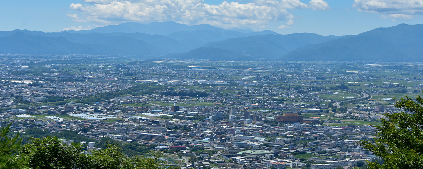 ピア不動産産